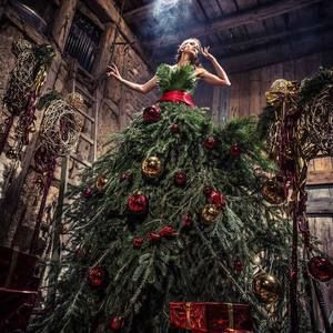 Meet your Posher, Heidi